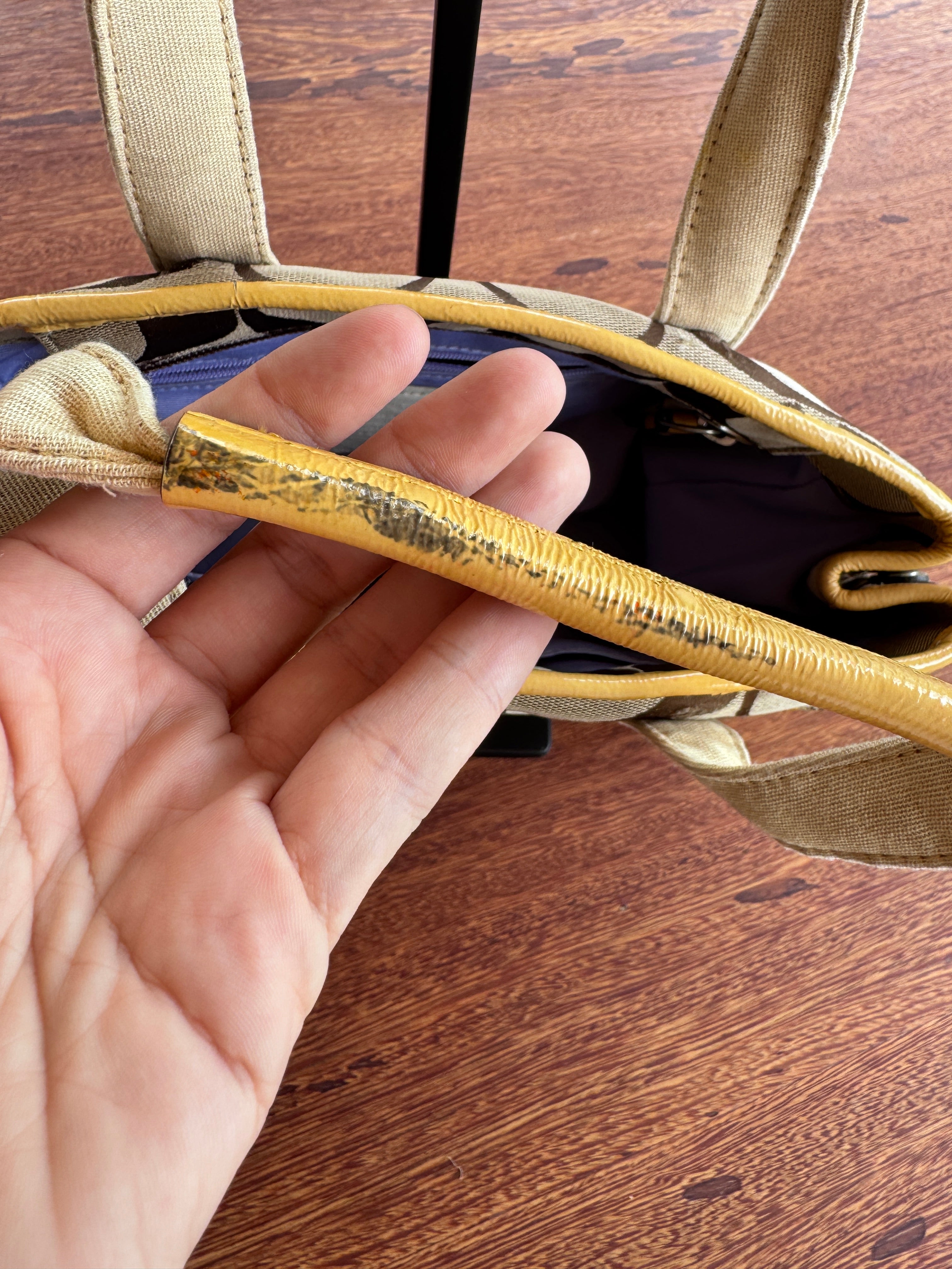 Coach Daisy Signature