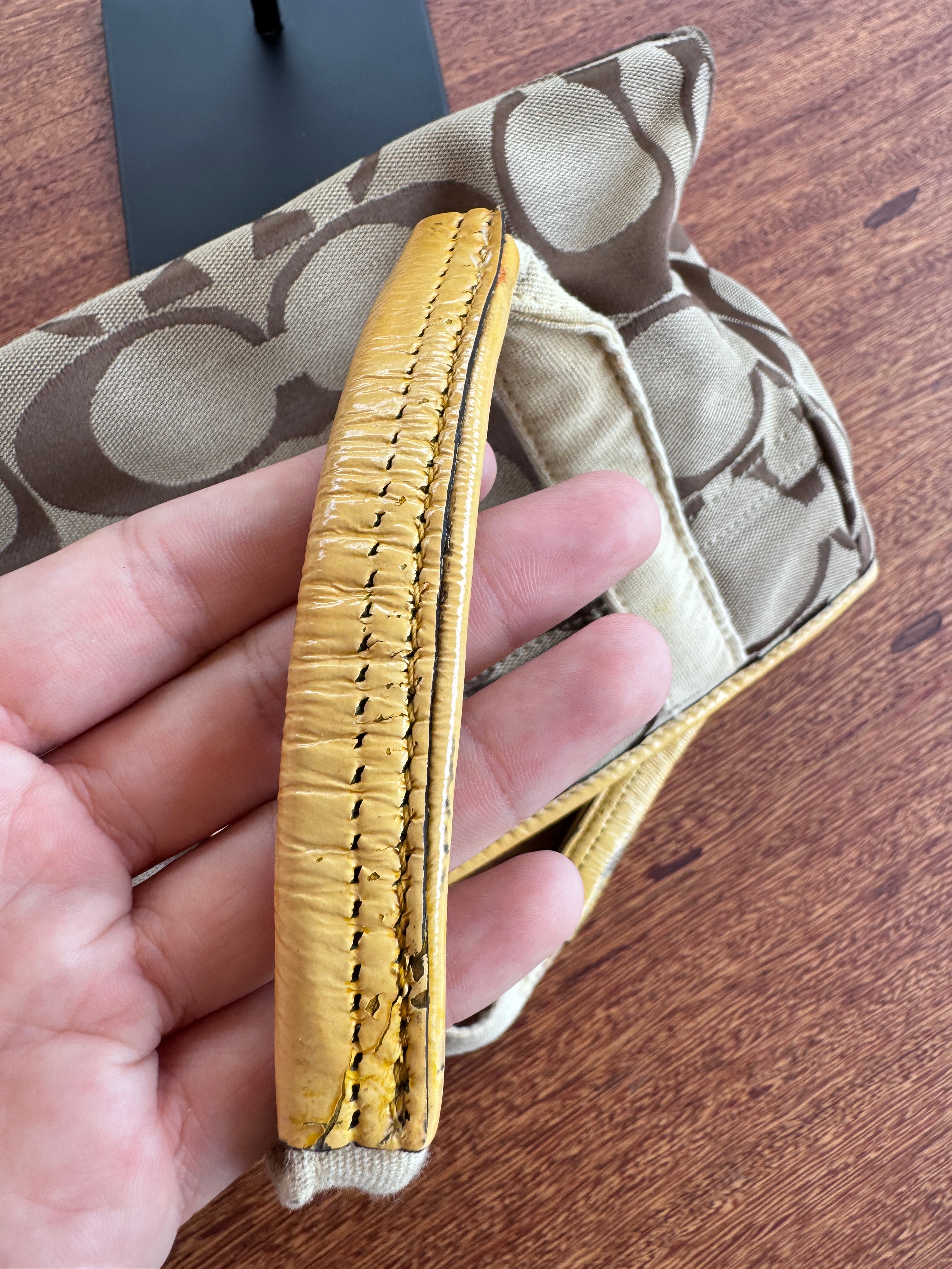 Coach Daisy Signature